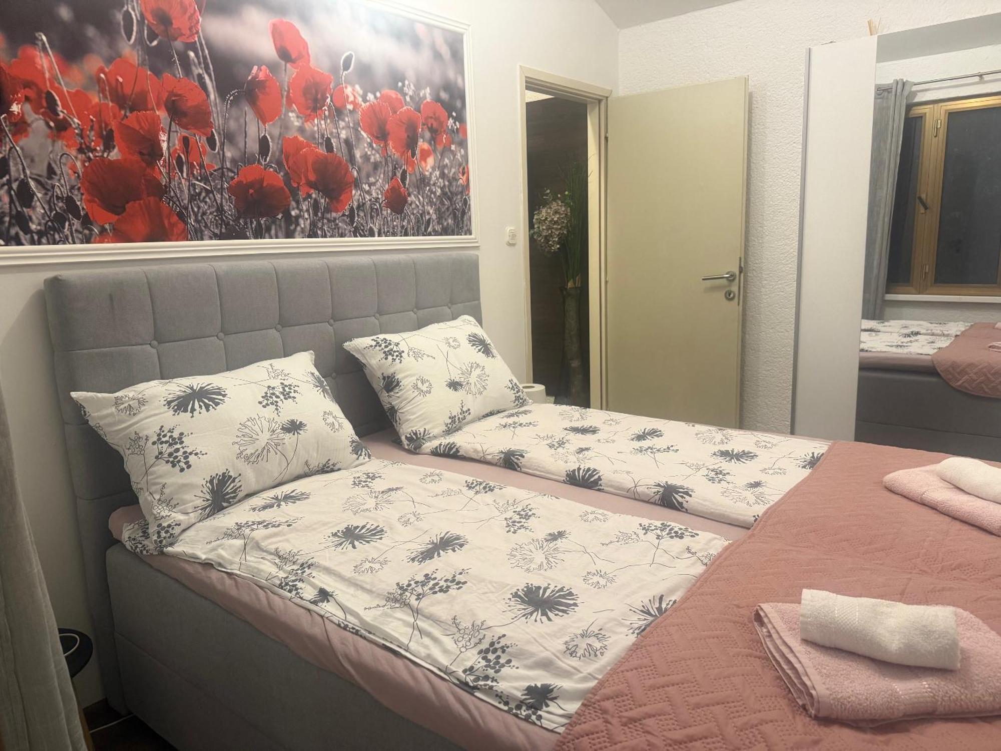 Apartmani Milokanovic Funtana Εξωτερικό φωτογραφία